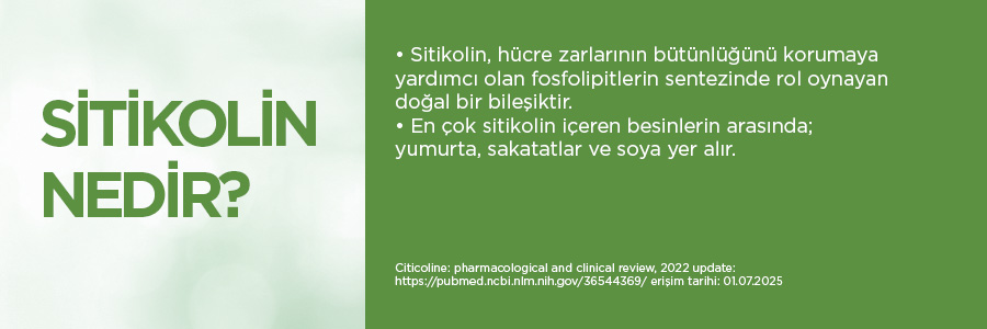 Nature's Supreme Cognimind Plus Citicoline 60 Kapsül