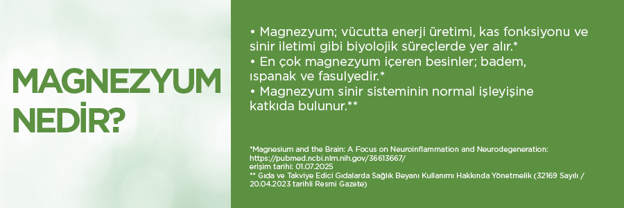 Nature's Supreme Mag Neuro Complex (Magnesium L-Threonate) 60 Tablet