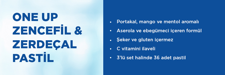 One Up Pastil Zencefil + Zerdeçal 12 Pastil 3 Adet