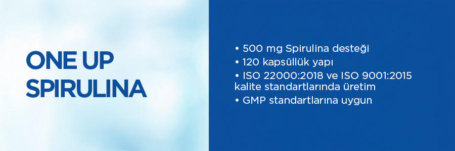 One Up Spirulina 500 Mg 120 Kapsül