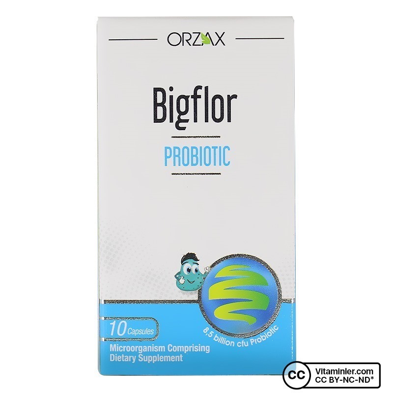 Orzax Bigflor Probiyotik & Prebiyotik 10 Kapsül