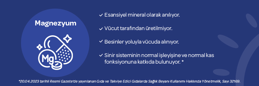 Puritan's Pride Magnezyum 250 Mg 100 Tablet