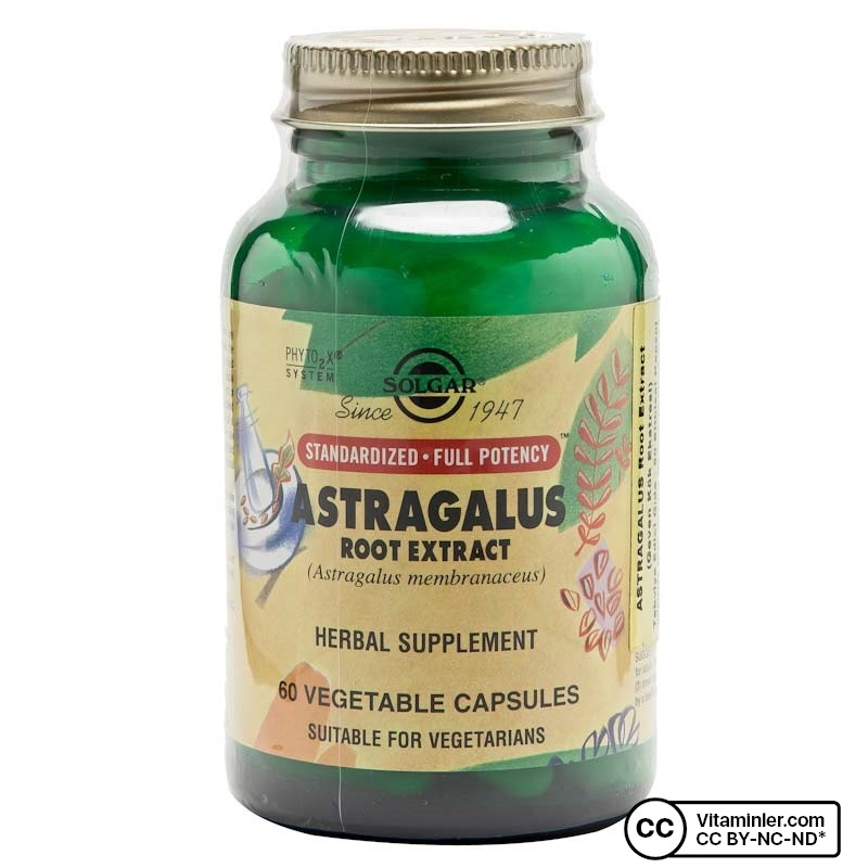 Solgar Astragalus Root Extract 60 Kapsül Vitaminler