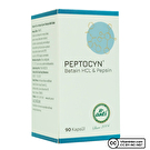 Anti Peptocyn Betain Hcl + Pepsin 90 Kapsül