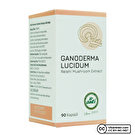 Anti Reishi Mantarı Ekstresi 90 Kapsül