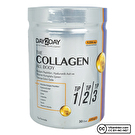 Day2Day The Collagen All Body 300 Gr
