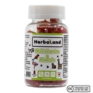Herbaland Gummy Multivitamins & Minerals 60 Tablet
