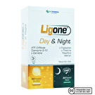 Ligone Day & Night 60 Kapsül