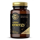 Solgar Vitamin Cellular Energy 14 Kapsül