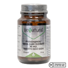 Venatura Pycnogenol Sahil Çamı Ekstresi 30 Kapsül