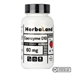 Herbaland Coenzyme Q10 60 Mg 60 Çiğnenebilir Form