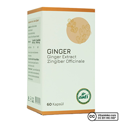 Anti Zencefil Ekstresi 60 Kapsül