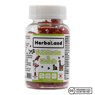 Herbaland Gummy Multivitamins & Minerals 60 Tablet