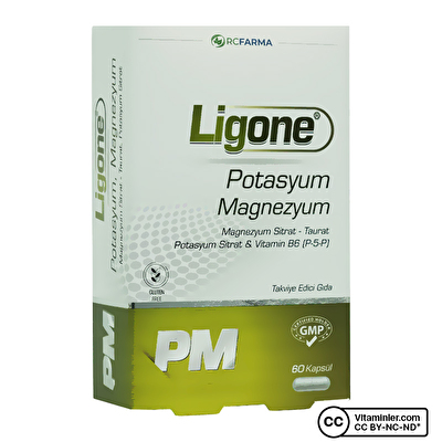Ligone Potasyum Magnezyum 60 Kapsül