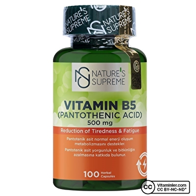 Nature's Supreme Vitamin B5 500 Mg 100 Kapsül