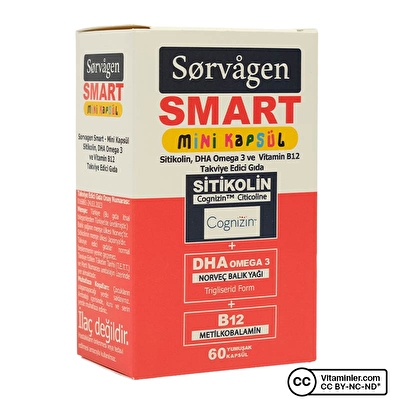 Sorvagen Smart Mini Sitikolin Omega 3 ve B12 60 Kapsül