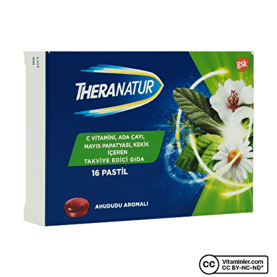 Theranatur Pastil 16 Adet