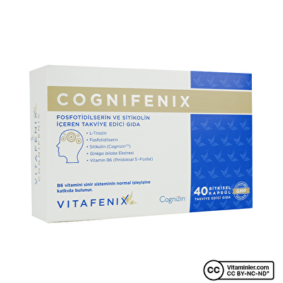 Vitafenix Cognifenix Sitikolin 40 Kapsül