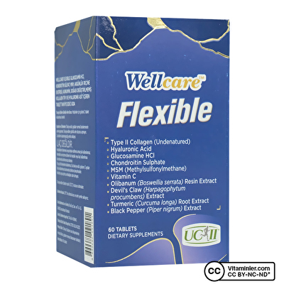 Wellcare Flexible Kolajen 60 Tablet