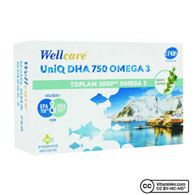 Wellcare Uniq Dha 750 Omega 3 30 Kapsül