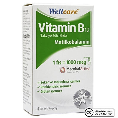Wellcare Vitamin B12 Sprey 5 mL