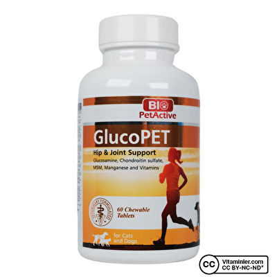 Bio PetActive Glucopet For Cats and Dogs 60 Tablet - 1