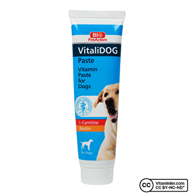 Bio PetActive Köpek Macunu Vitalidog 100 mL -1