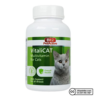 Bio PetActive Vitalicat Multivamin For Cats 150 Tablet -1