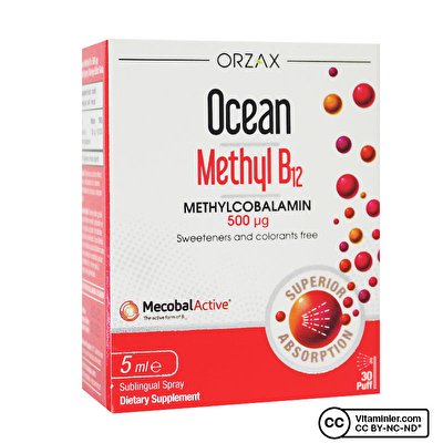 Ocean Methyl B12 500 Mcg 5 mL Sprey - 1