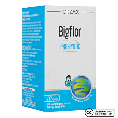 Orzax Bigflor Probiyotik & Prebiyotik 10 Kapsül - 1