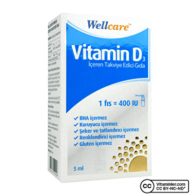 Wellcare Vitamin D3 400 IU 5 mL Sprey - 1