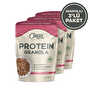 Clean Powders Meyveli & Ballı Protein Granola 300 Gr 3 Adet